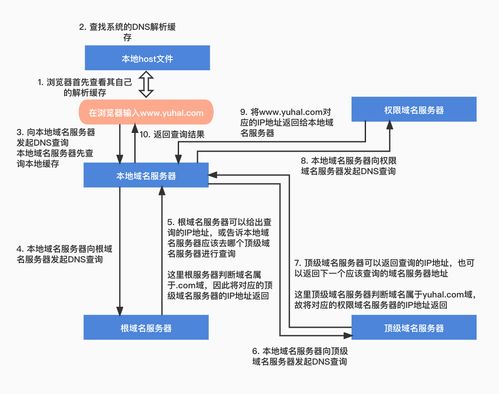 Linux 系統 DNS 服務器搭建與配置實驗報告 - 信息系統運行維護服務