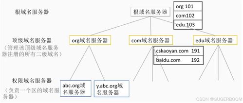 服務基礎第一階段第六節 Windows系統管理基礎——DNS部署與安全，助力信息系統運行維護服務